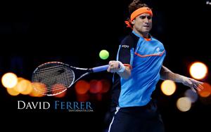 David Ferrer